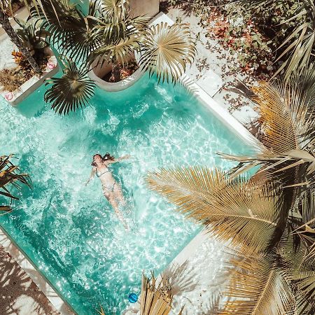 Hotel Buenavista Bacalar Jungle Experience 외부 사진