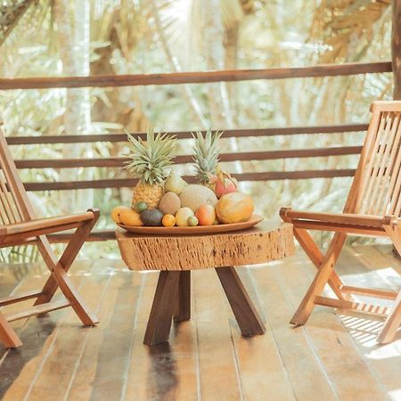Hotel Buenavista Bacalar Jungle Experience 외부 사진