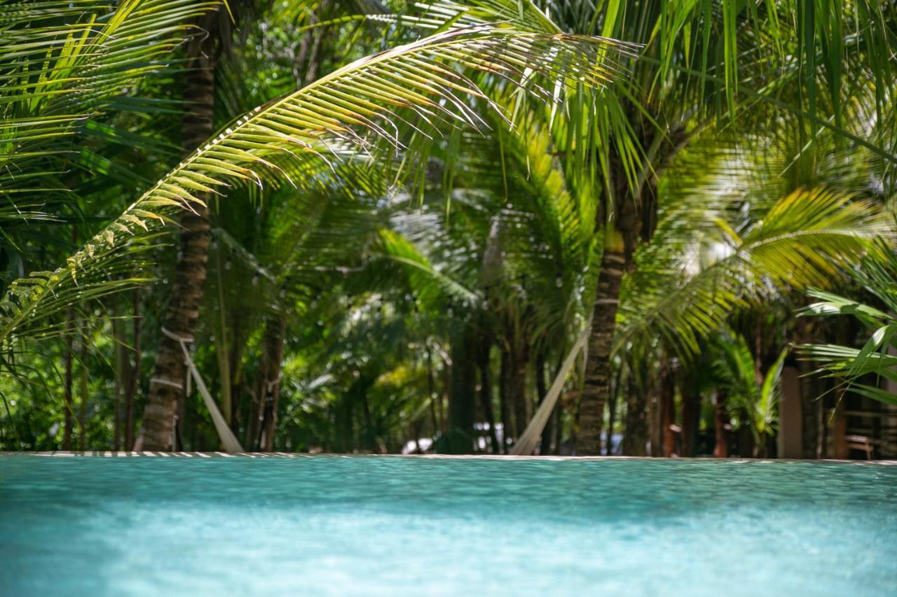 Hotel Buenavista Bacalar Jungle Experience 외부 사진