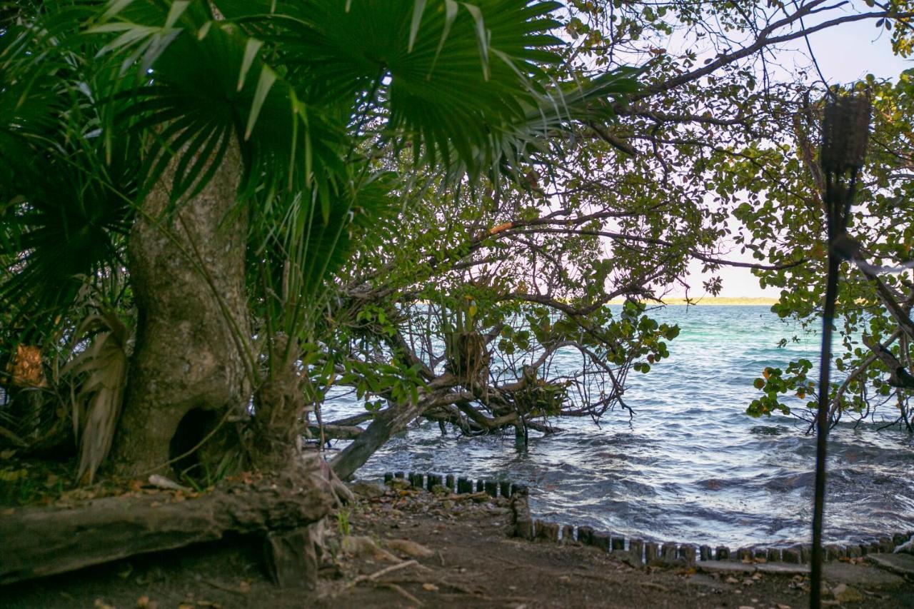Hotel Buenavista Bacalar Jungle Experience 외부 사진
