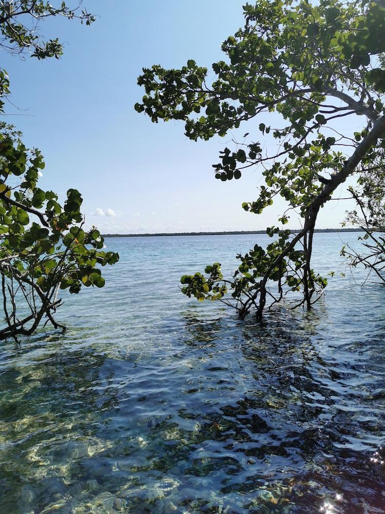 Hotel Buenavista Bacalar Jungle Experience 외부 사진